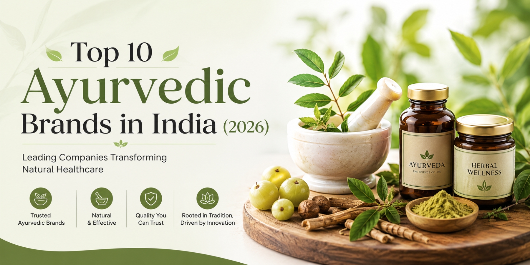 Top 10 Ayurvedic Brands in India (2026): Leading Companies Transforming Natural Healthcare